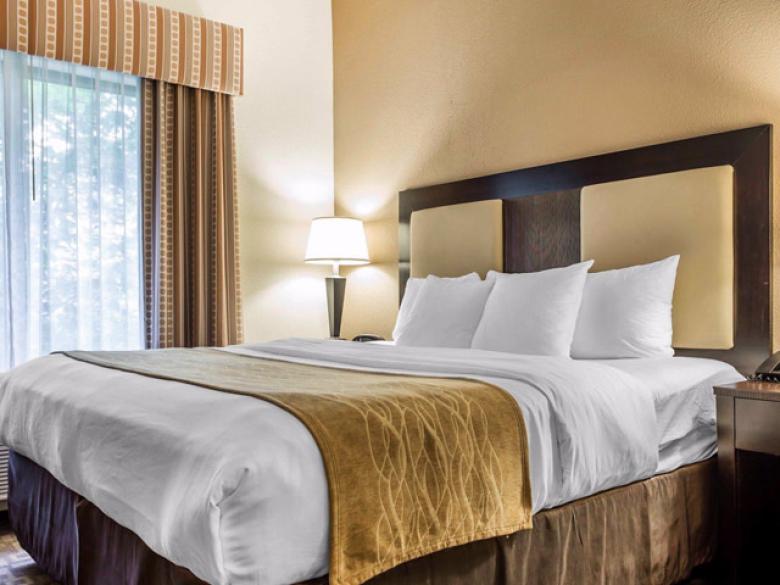 Comfort Suites at Kennesaw State University Official Tourism