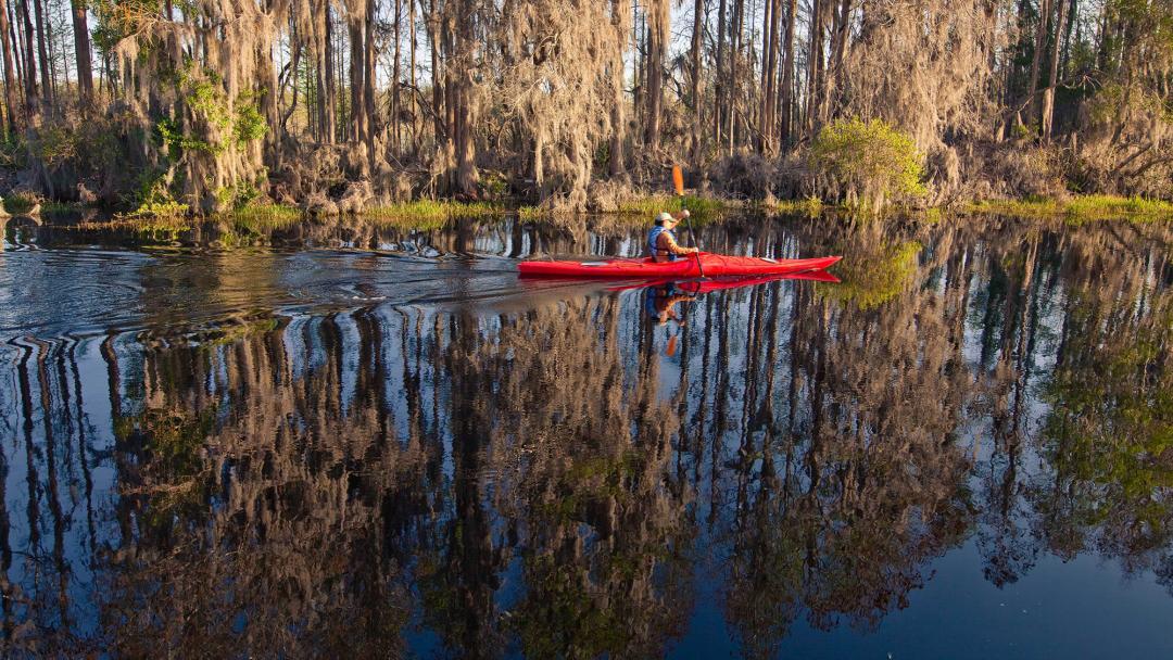 okefenokee kayaking