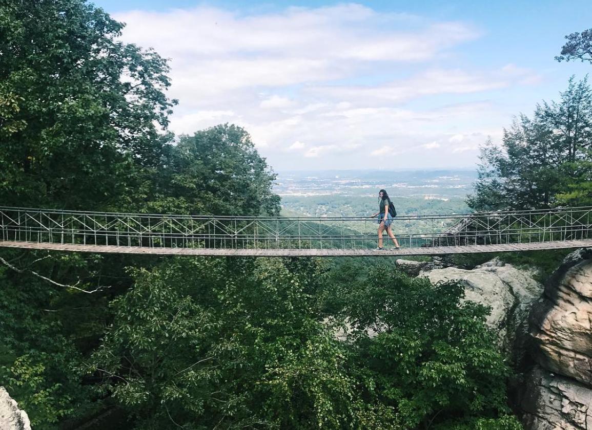 bridge