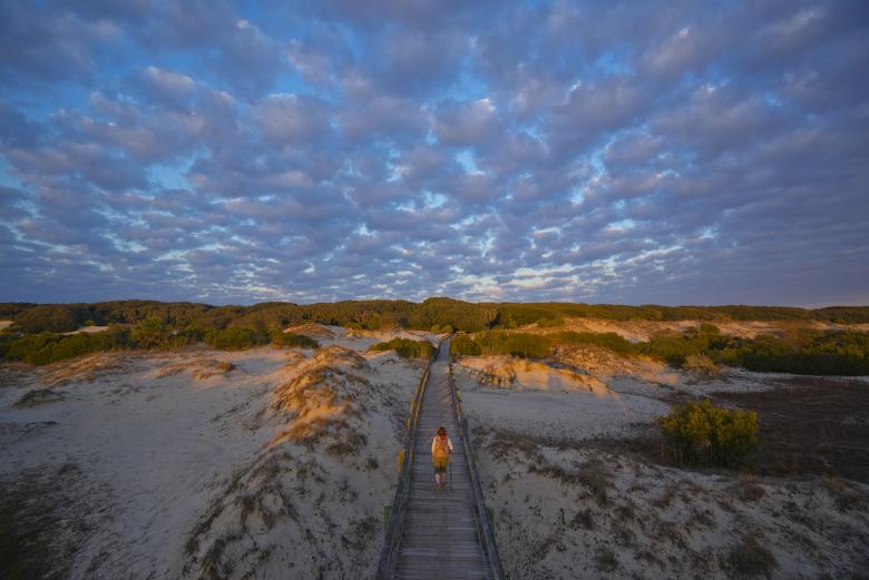 Cumberland Island National Seashore