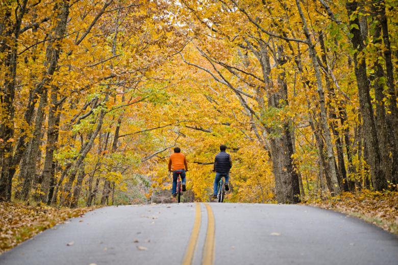 Biking at fd Roosevelt State Park