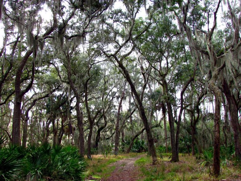 Skidaway Island
