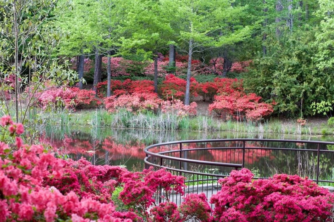 10 Best Gardens To Visit In Georgia Official Georgia Tourism