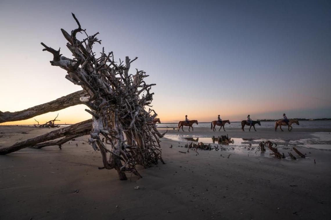 8 Georgia Experiences That Would Make The Perfect Present 8 Georgia Experiences That Would Make
