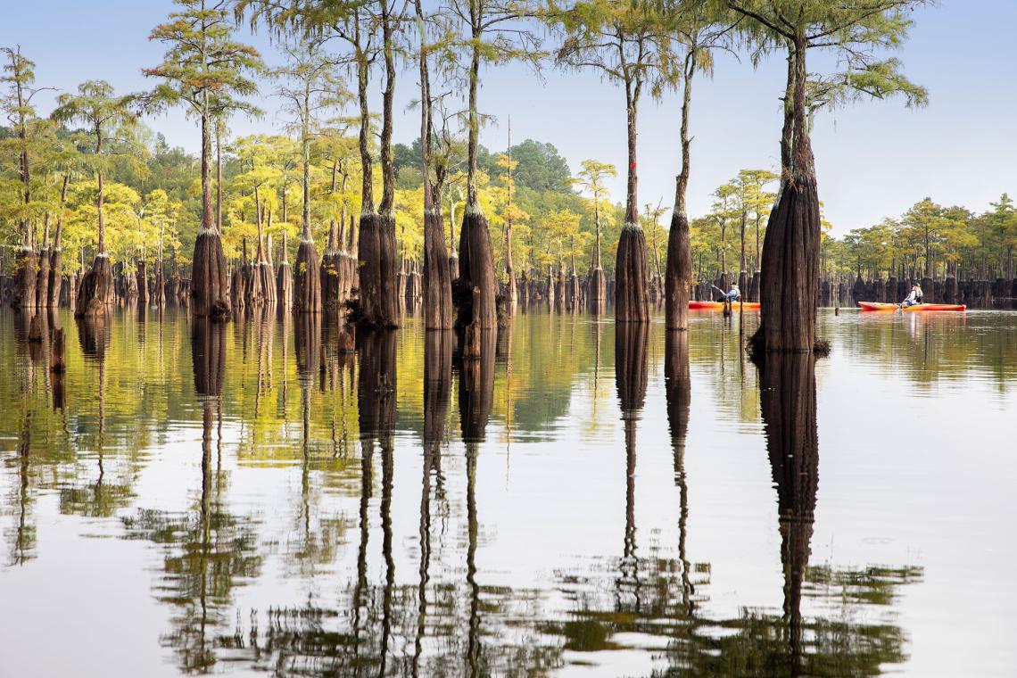 Best Things to Do in East Official Tourism & Travel