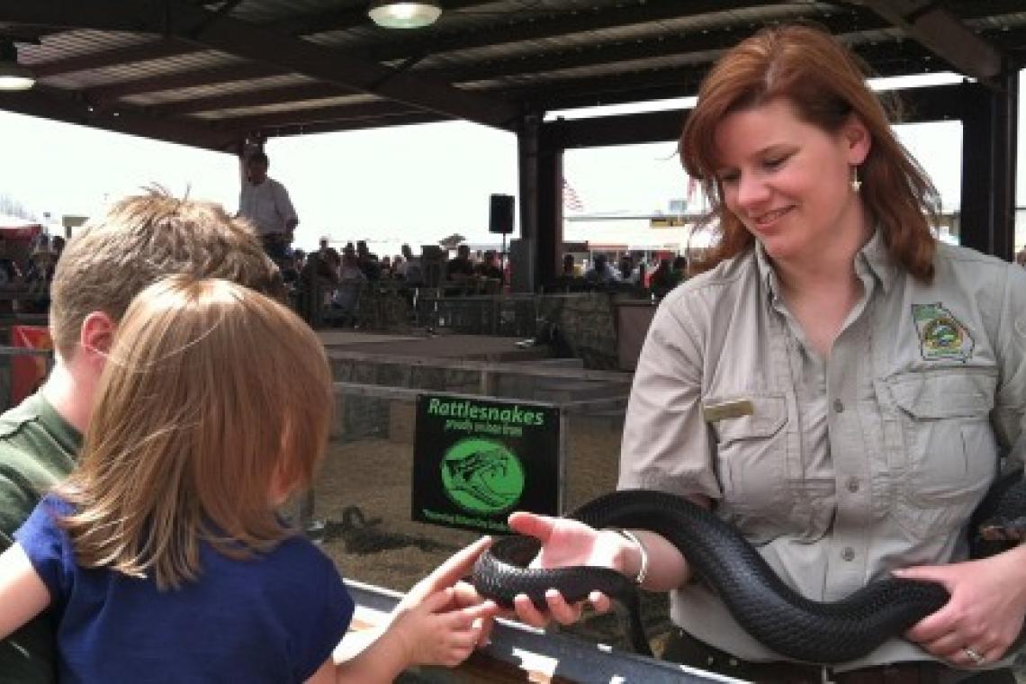 Shake Off Boring and Rattle Down the Road to Claxton Official