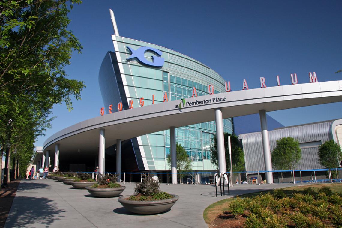 6 Hotels Near Georgia Aquarium For Your Next City Adventure Georgia Aquarium In Atlanta