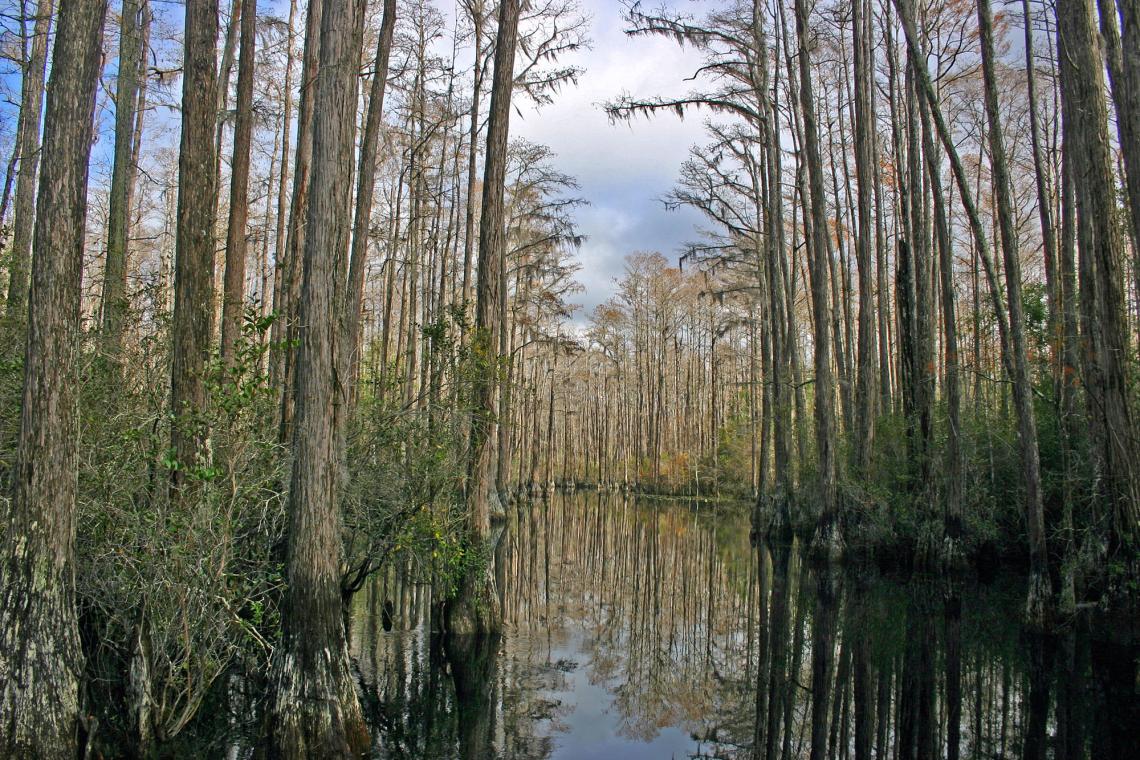 Five Amazing ScreenFree Getaways in Official Tourism & Travel site