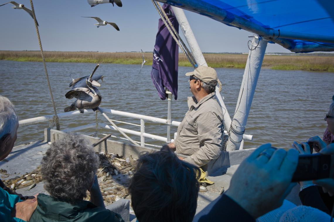 Georgia Coast Hero Lady Jane Shrimpin' Excursions in Brunswick, Georgia