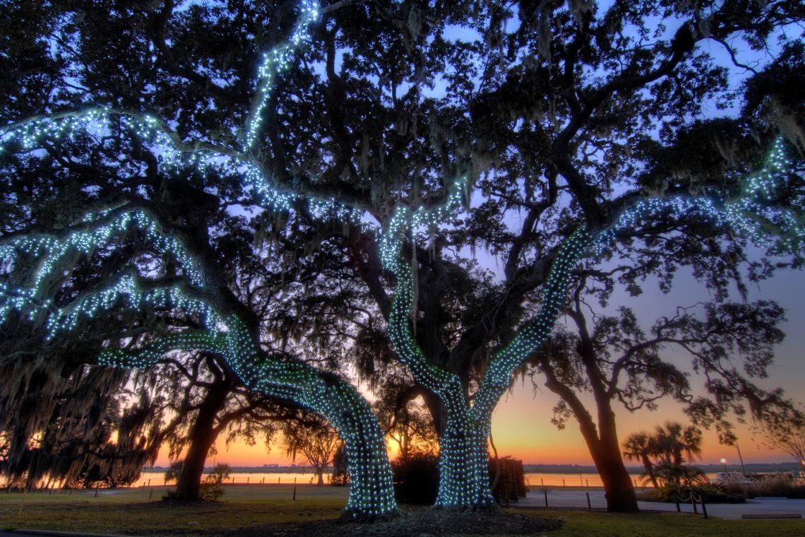 9 Ways to Spend the Holidays on Coast Official