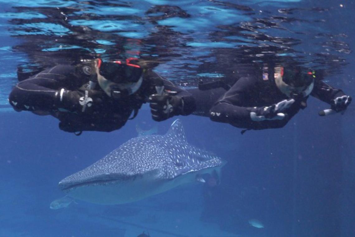 8 unusual bucket list