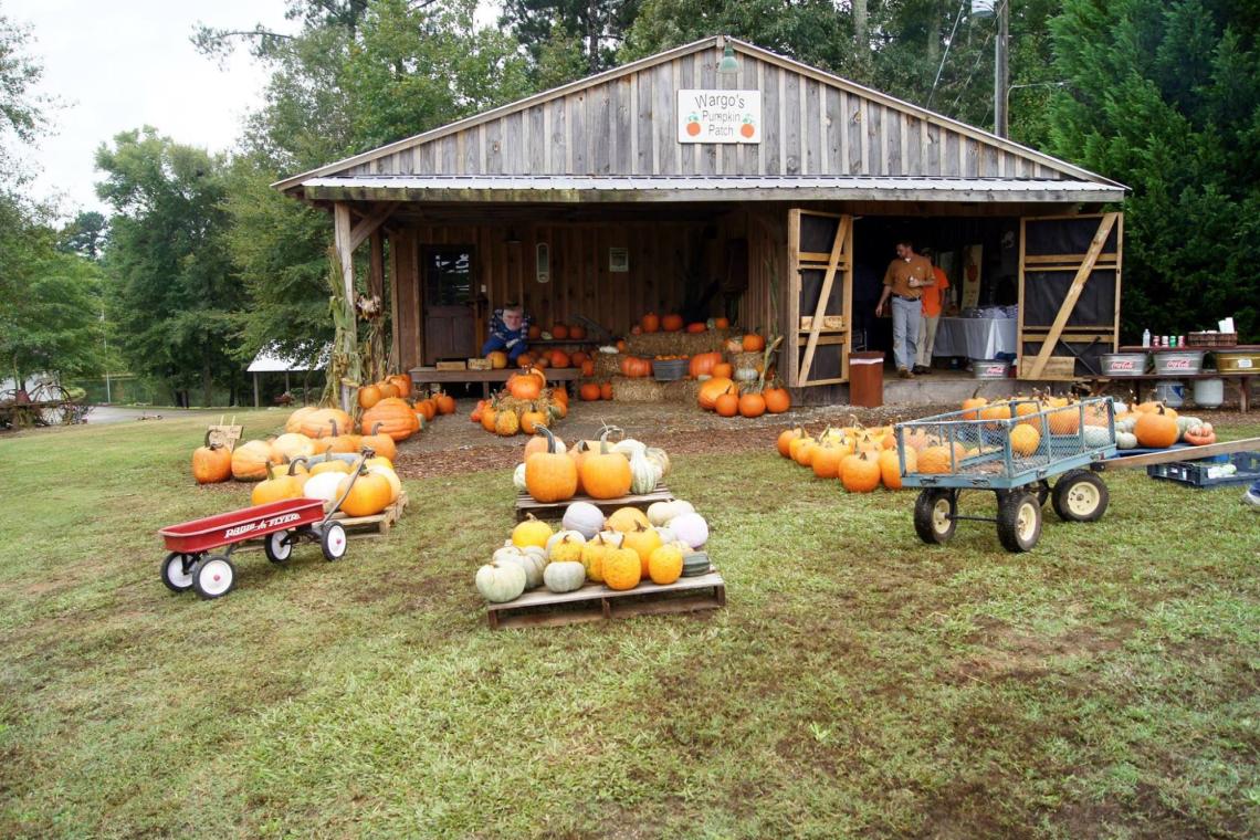 Pumpkin Patches for a SmashingGood Time Official