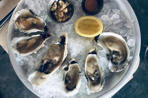 Oysters at The Grey in Savannah. Photo by @findingmeggan