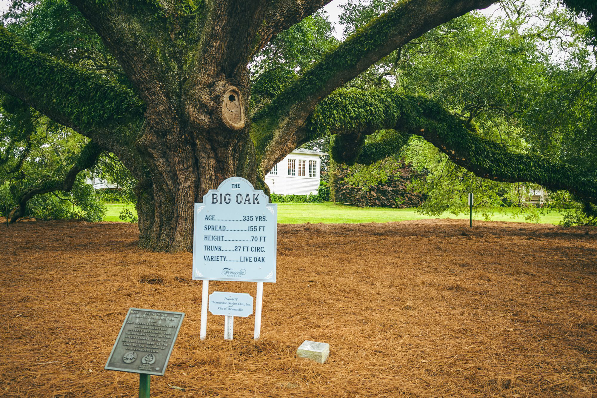 Small Town Fun in Thomasville,