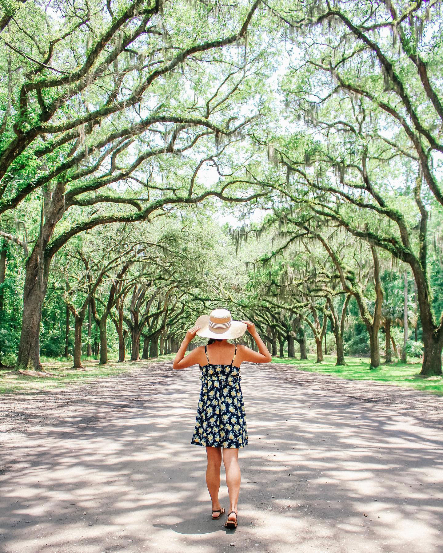 Wormsloe State Historic Site in Savannah. Photo by @goanniewhere